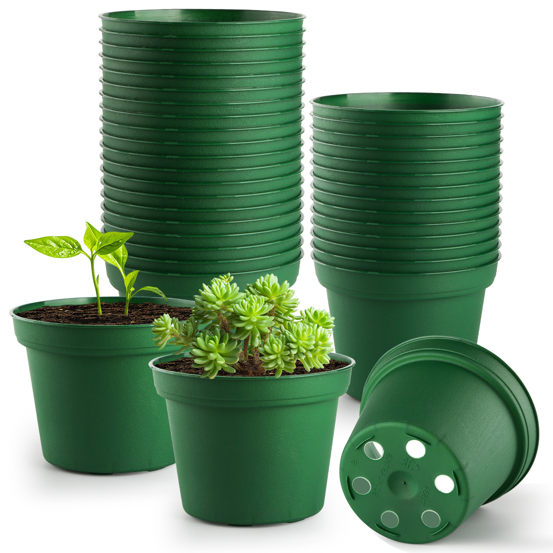 60 Pack 3 Inch Nursery Pots for Plants, Seedling Plastic Planters Grow with Drainage Holes for Indoor Outdoor Plants, Transplanting, Succulents, Seeding, Cuttings, Flowers (Green)